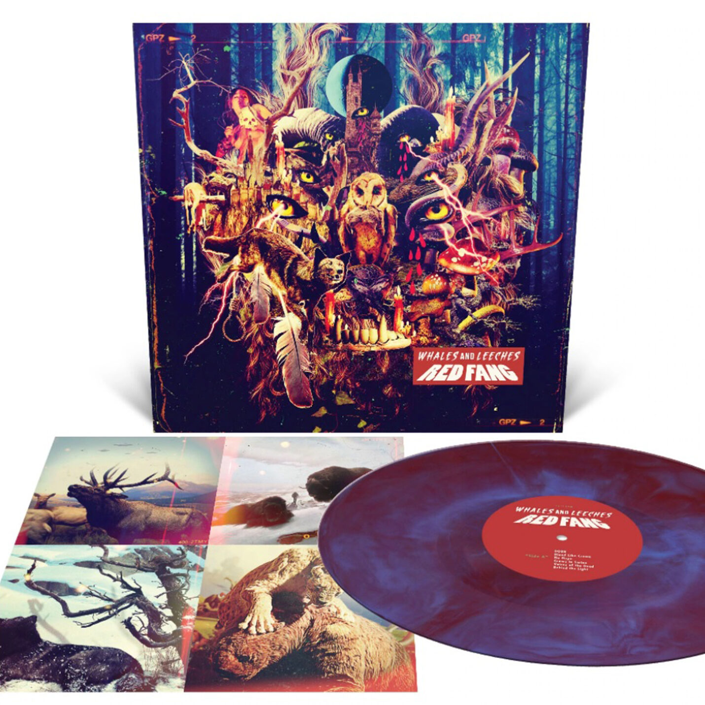 Red Fang Whales and leeches colored LP