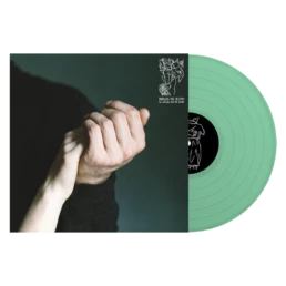 Birds In Row - We Already Lost The World - VINYL LP