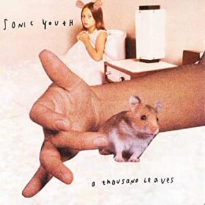 Sonic Youth ‎– A Thousand Leaves