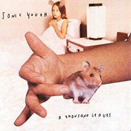 Sonic Youth ‎– A Thousand Leaves