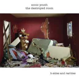 Sonic Youth - The Destroyed Room : B Sides & Rarities - VINYL 2LP