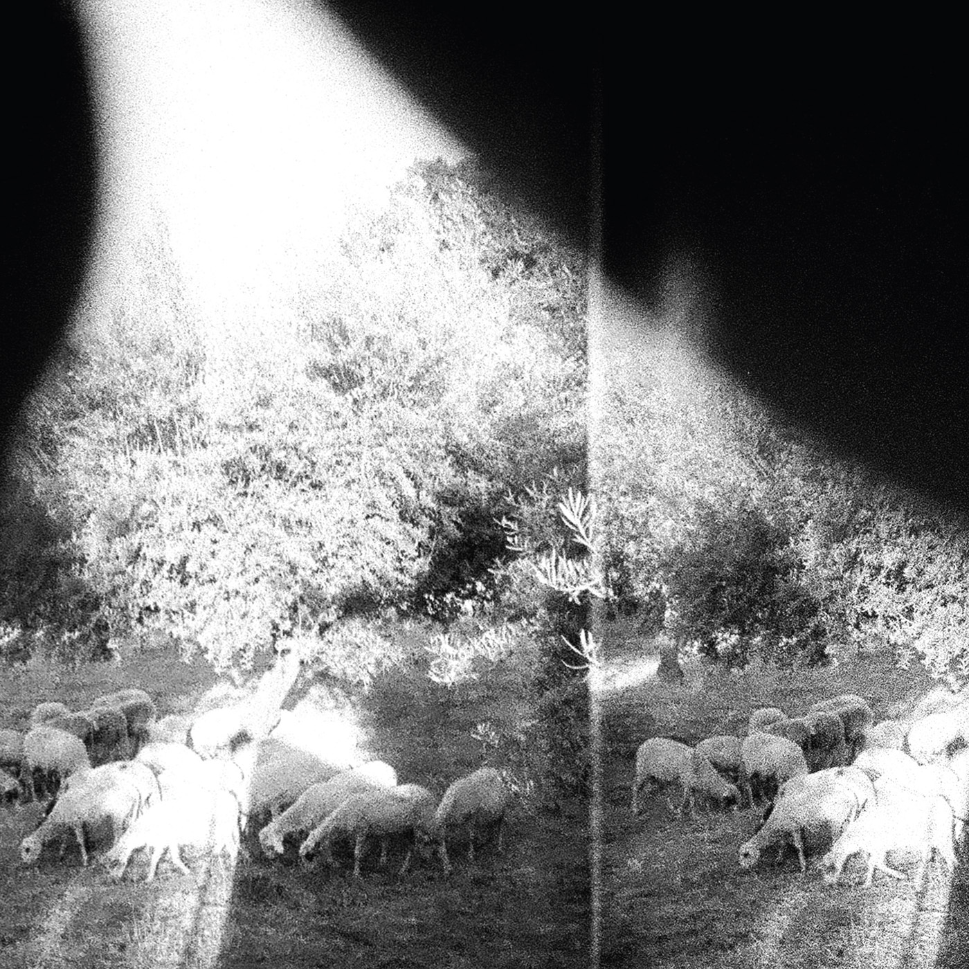 Godspeed You Black Emperor Asunder, Sweet And Other Distress CD