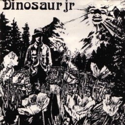 Dinosaur Jr - Dinosaur - VINYL LP