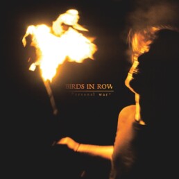 Birds In Row - Personal War - VINYL LP