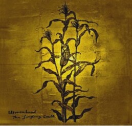 Wovenhand - The Laughing Stalk - VINYL LP + CD