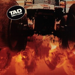 Tad - Salt Lick (transp yellow/red splatter) - VINYL LP