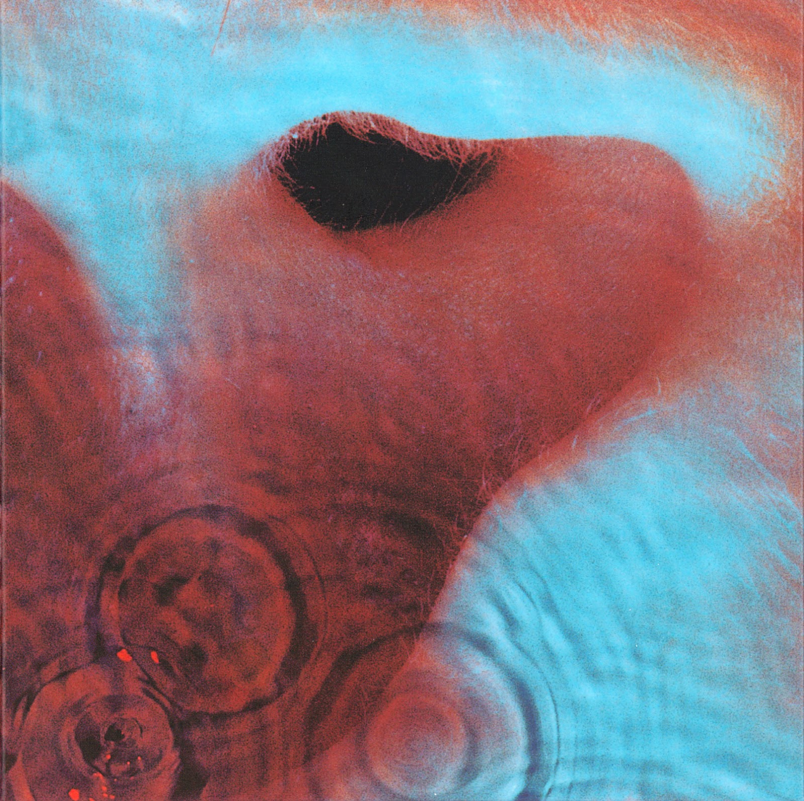 Pink Floyd - Meddle - VINYL LP