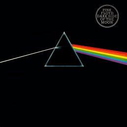 Pink Floyd - Dark Side Of The Moon - VINYL LP