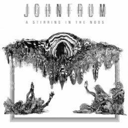 John Frum - A Stirring In The Noos - VINYL LP
