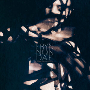 Eryn Non Dae. - Abandon Of The Self - VINYL 2-LP