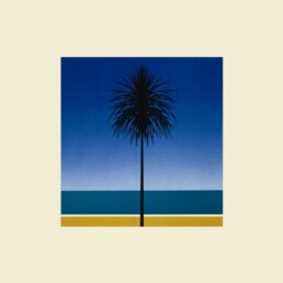 Metronomy - The English Riviera - VINYL LP