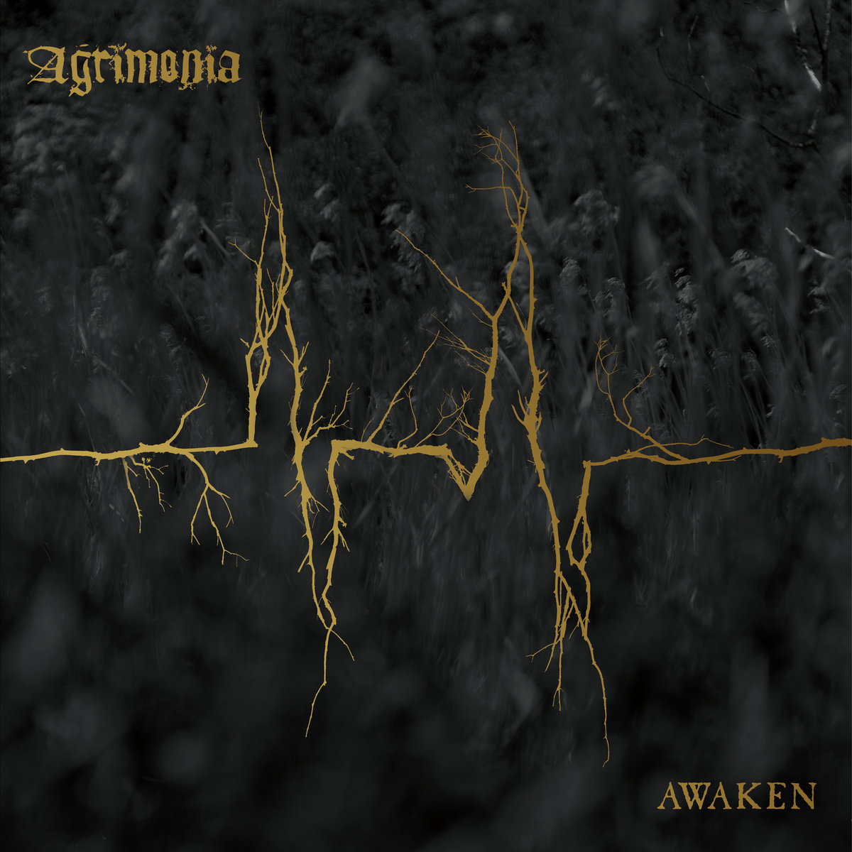 Agrimonia - Awaken - VINYL 2-LP