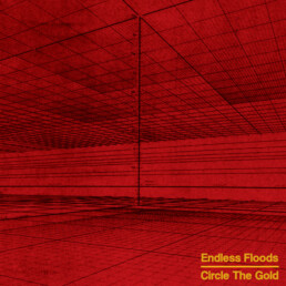 Endless Floods - Circle The Gold - VINYL LP