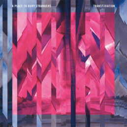 A Place To Bury Strangers ‎– Transfixiation - VINYL LP