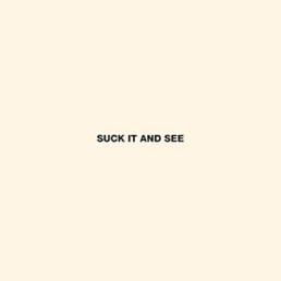 Arctic Monkeys ‎– Suck It And See - VINYL LP