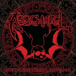 Asschapel ‎– Total Destruction 1999-2006 (brown) - VINYL 2LP