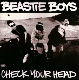 Beastie Boys - Check Your Head - VINYL 2-LP