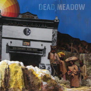 Dead Meadow - The Nothing They Need - VINYL LP