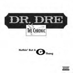 Dr. Dre - Nuthin' But A G Thang - VINYL LP