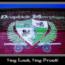 Dropkick Murphys ‎– Sing Loud, Sing Proud! - VINYL LP