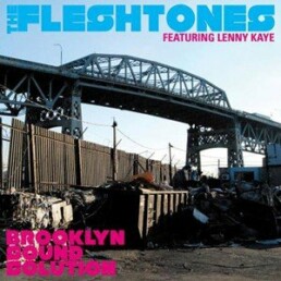 Fleshtones Featuring Lenny Kaye ‎– Brooklyn Sound Solution - VINYL LP