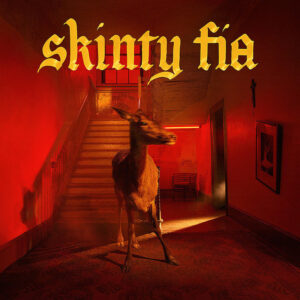 Fontaines D.C. ‎– Skinty Fia - VINYL LP