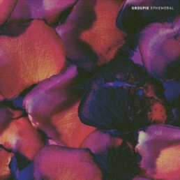Groupie - Ephemeral (purple) - VINYL LP