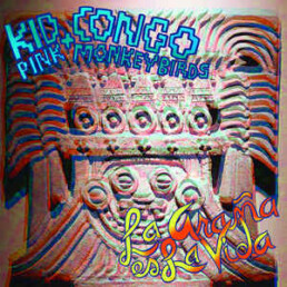 Kid Congo & The Pink Monkey Birds ‎– La Araña es La Vida - VINYL LP