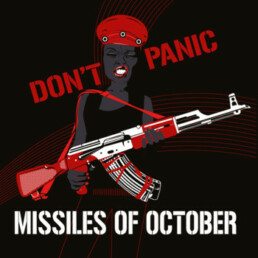 Missiles of October ‎– Don't Panic - VINYL LP