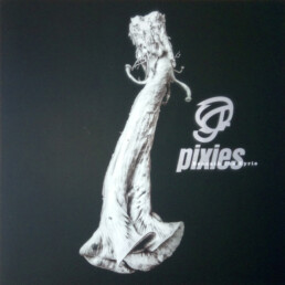 Pixies - Beneath The Eyrie (180gr) - VINYL LP
