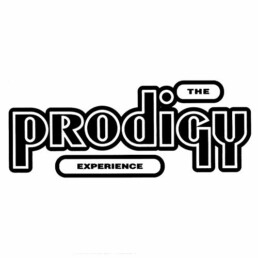 The Prodigy ‎– Experience - VINYL 2LP