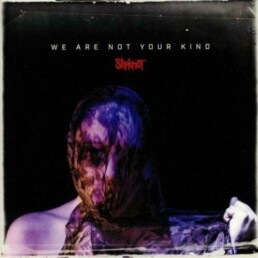 Slipknot – We Are Not Your Kind - VINYL 2LP