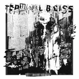 Terminal Bliss – Brute Err​/​ata - VINYL LP