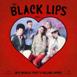 The Black Lips ‎– In A World That's Falling Apart (deluxe - colored red) - VINYL LP