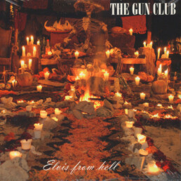 The Gun Club ‎– Elvis From Hell - VINYL 2 LP