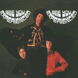 The Jimi Hendrix Experience – Are You Experienced (180gr) VINYL LP