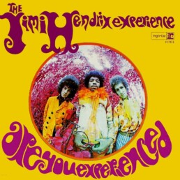 The Jimi Hendrix Experience - Are You Experienced (180gr) VINYL LP