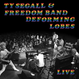 Ty Segall & Freedom Band ‎– Deforming Lobes - VINYL LP