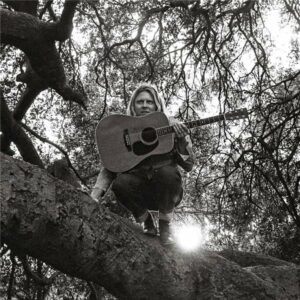 Ty Segall - Hello, Hi - VINYL LP