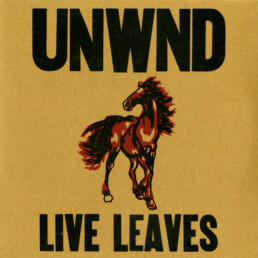 Unwound - Live Leaves - VINYL 2LP