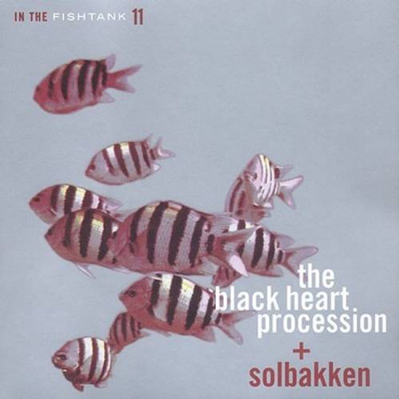 The Black Heart Procession + Solbakken ‎– In The Fishtank 11 - VINYL LP