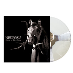 neurosis given to the rising utra clear grey spinner