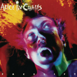 Alice In Chains - Facelift - VINYL 2LP