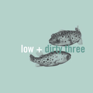 Low + Dirty Three - In The Fishtank 7 - VINYL LP