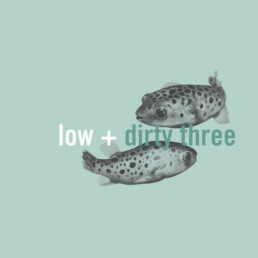 Low + Dirty Three - In The Fishtank 7 - VINYL LP
