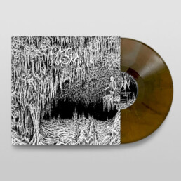 Frogskin - III - Into Disgust - VINYL LP