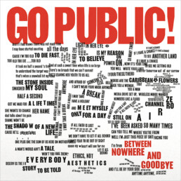 Go Public! - Between Nowhere And Goodbye - VINYL LP