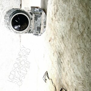 LCD Soundsystem ‎- Sound Of Silver - VINYL 2LP