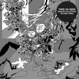 Thee Oh Sees - Singles Collection Volume 3 - VINYL