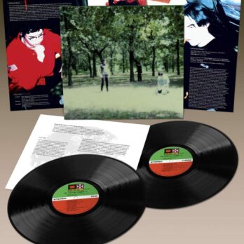 The Fucking Champs - III - vinyle gatefold
